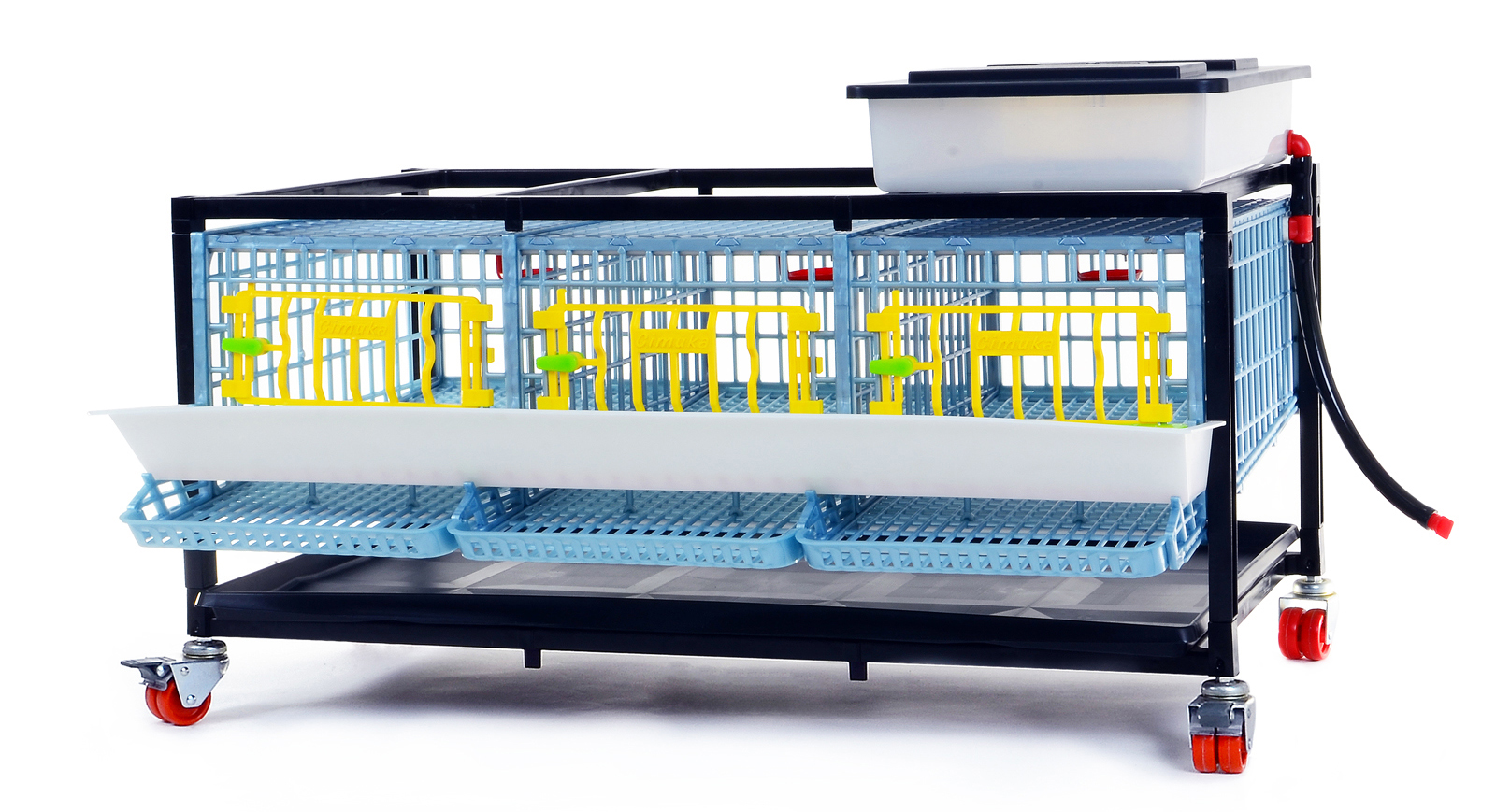 Quail Layer Cage 1 Storey for 35-40 Quail