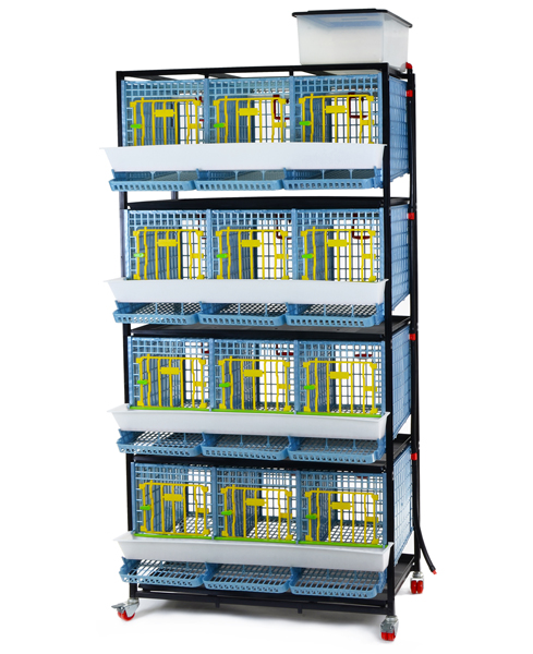 Partridge  Breeding  Stock Cages - 12 Section / 4 Tier