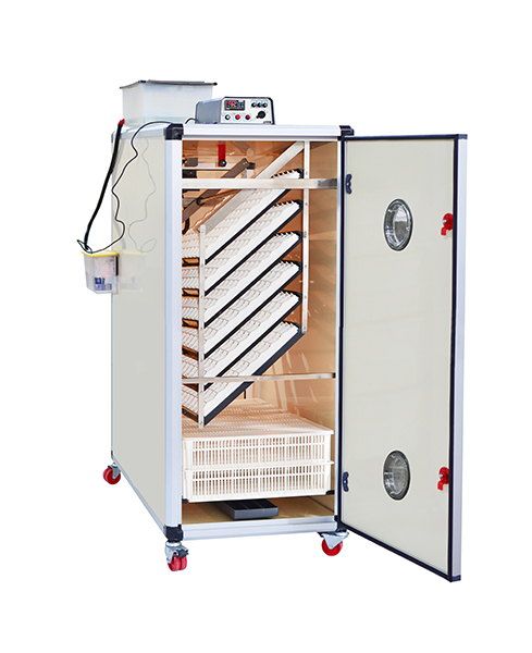 T1280 C  - Combined Egg Incubator