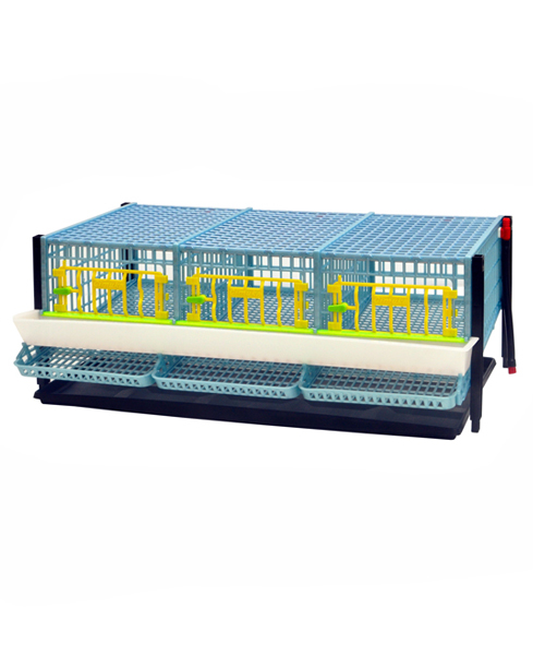 Quail Cage for Egg  - 3 Section / Tier Additional