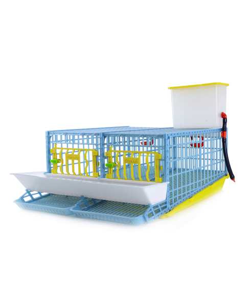 Quail Midi Cage for Egg  - 2 Section